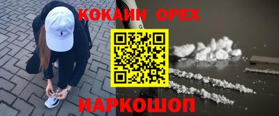 крисы Новодвинск