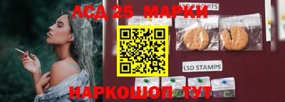 крисы Новодвинск