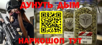 крисы Новозыбков
