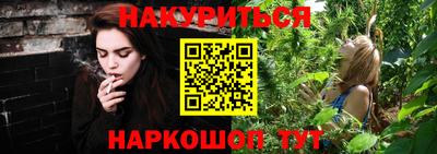 крисы Новодвинск