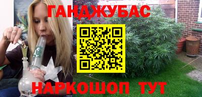 крисы Новозыбков