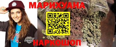 крисы Новодвинск