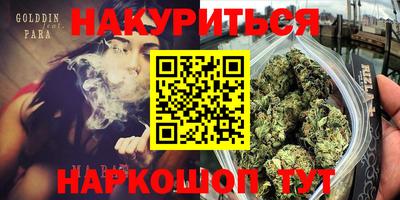Альфа ПВП Новокубанск