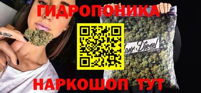 крисы Новозыбков