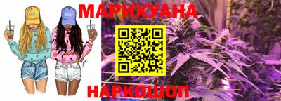 крисы Новодвинск