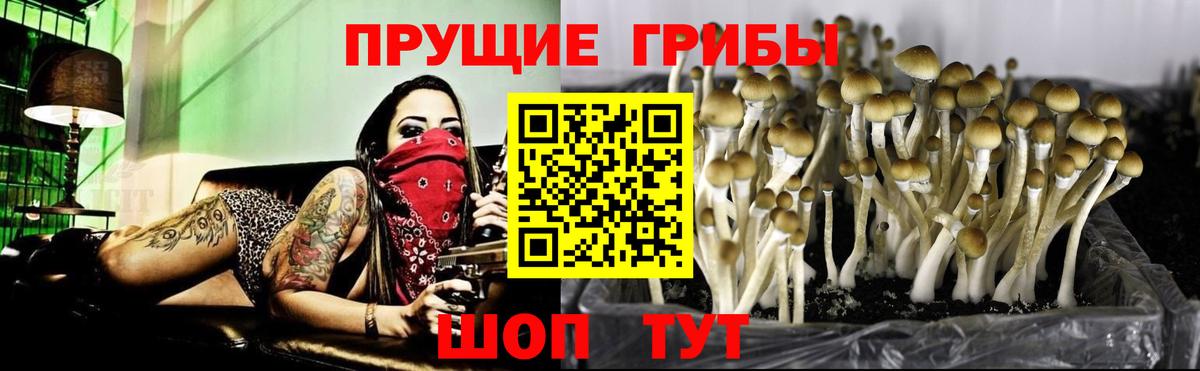 Гашиш Рубцовск