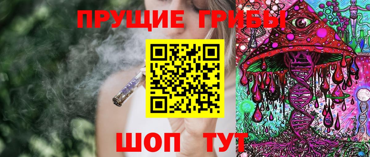 Галлюциногенные грибы GOLDEN TEACHER Рубцовск